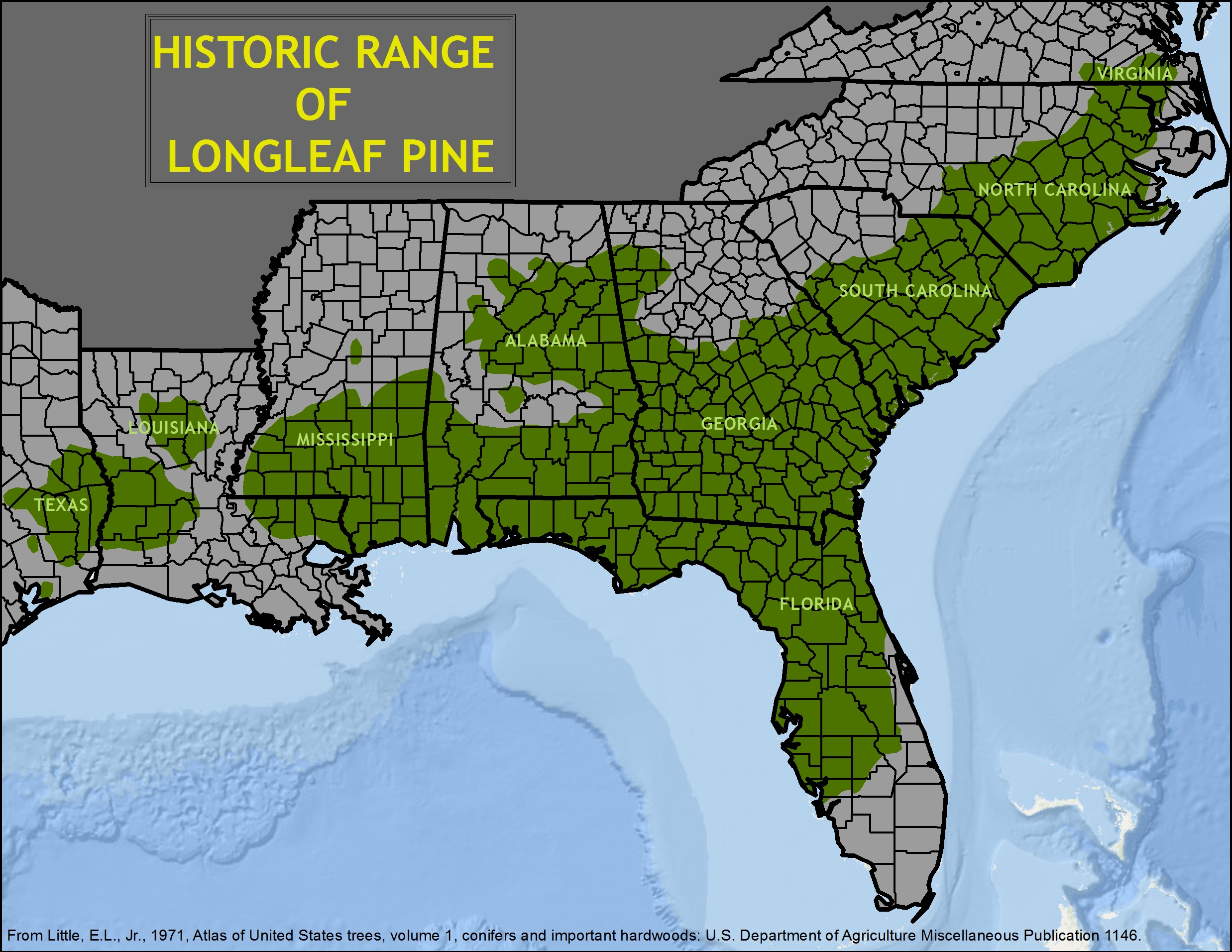 Historic range of longleaf forests across the South Eastern US