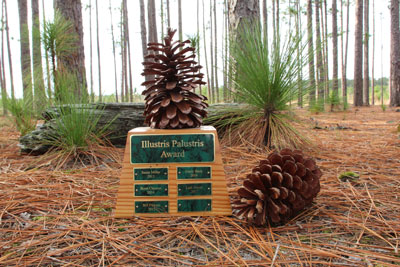 Artificial Pine Cone Branch Winter … curated on LTK